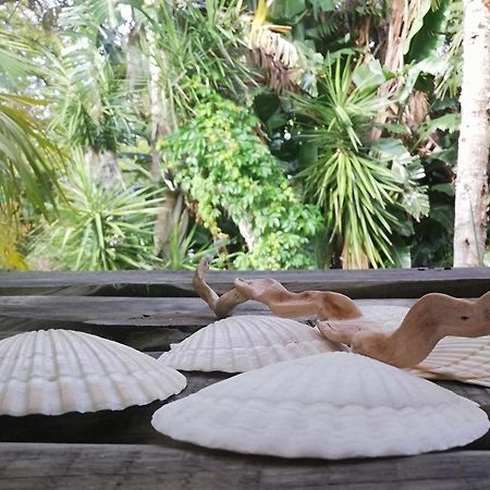 Tranquil Gem - Lush Garden View & Solar Energy! Appartement Plettenbergbaai Buitenkant foto